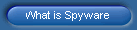 What is Spyware